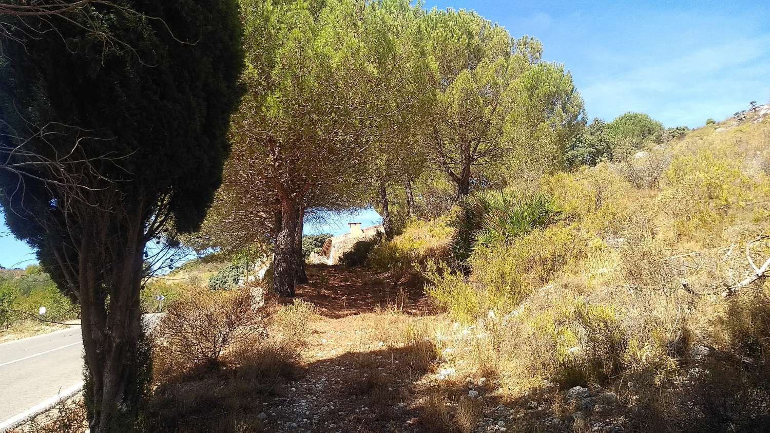 CASA DE PIEDRA A REFORMAR EN TARBENA