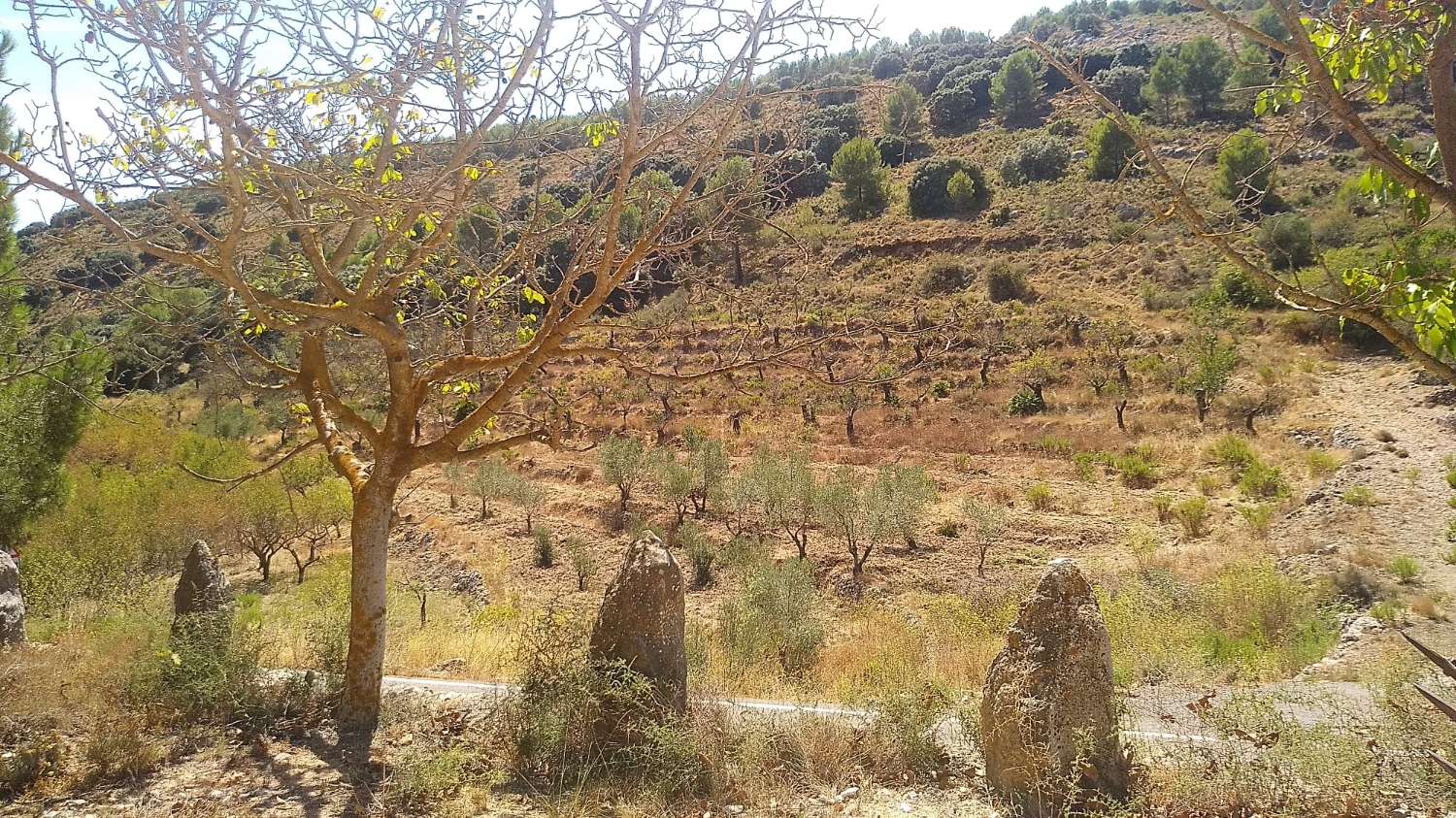 CASA DE PIEDRA A REFORMAR EN TARBENA