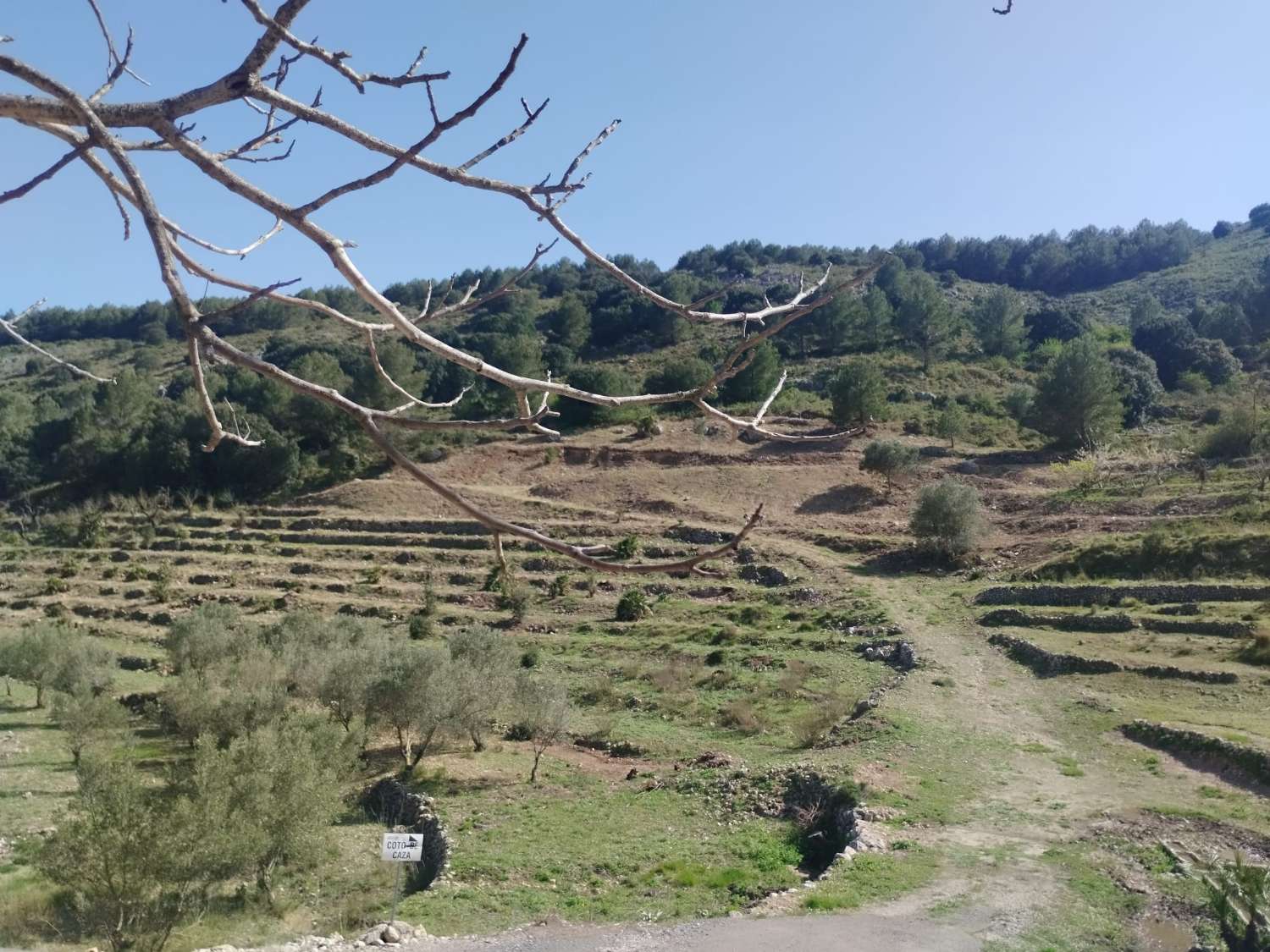 CASA DE PIEDRA A REFORMAR EN TARBENA
