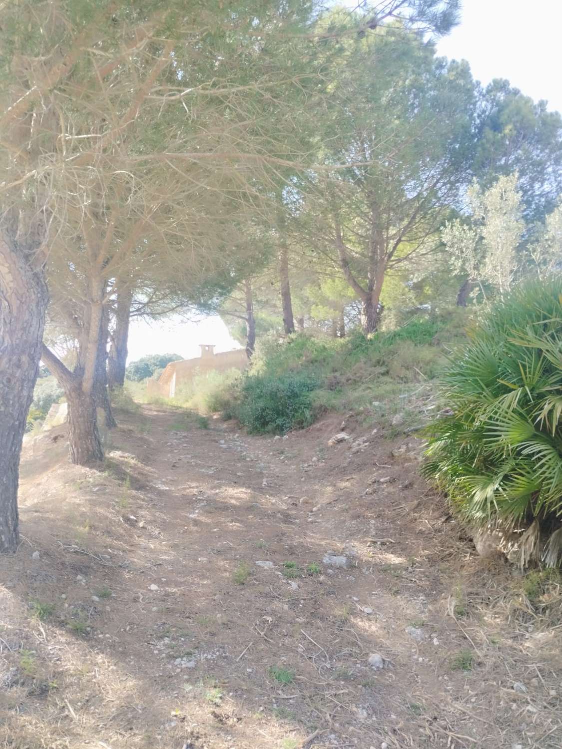 CASA DE PIEDRA A REFORMAR EN TARBENA