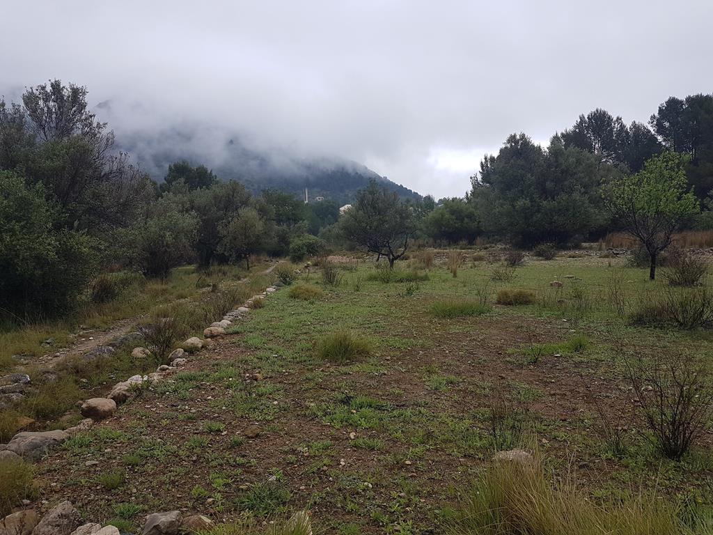 TERRENO RUSTICO CON ALMACEN