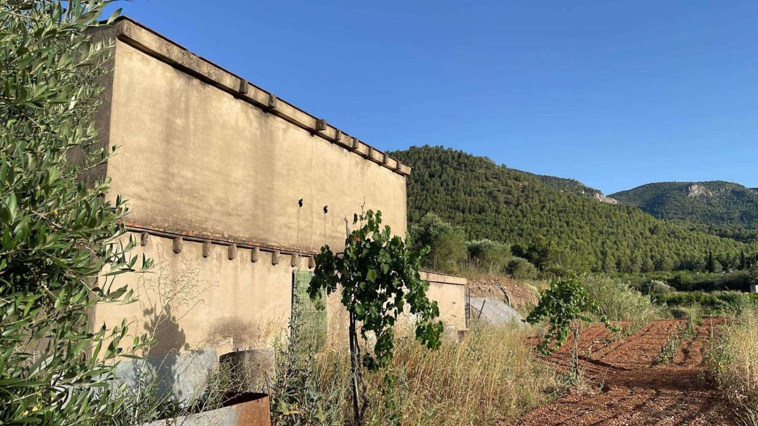 TERRENO RUSTICO CON ALMACEN