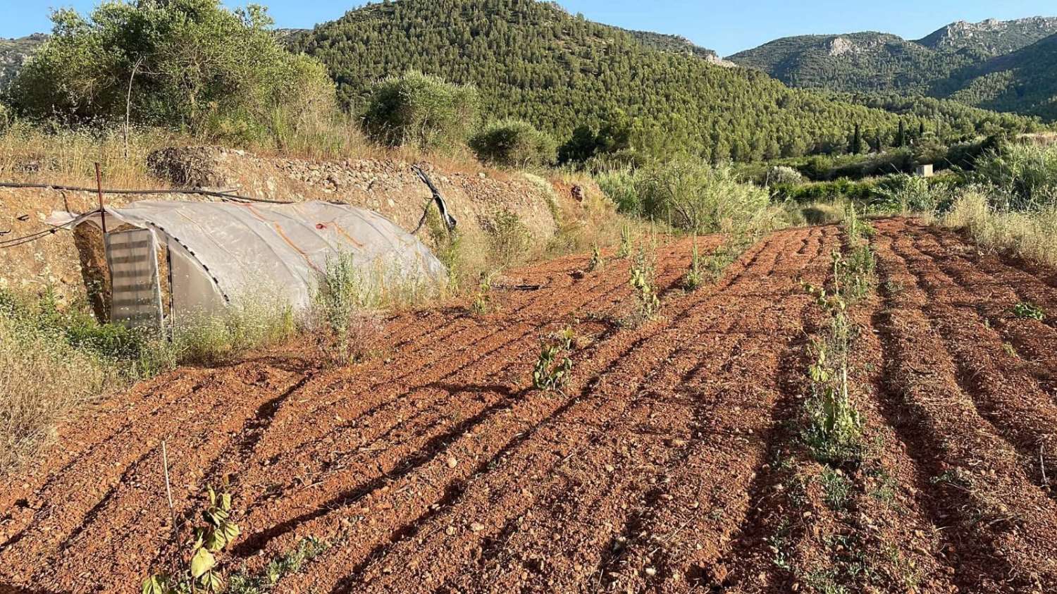 TERRENO RUSTICO CON ALMACEN
