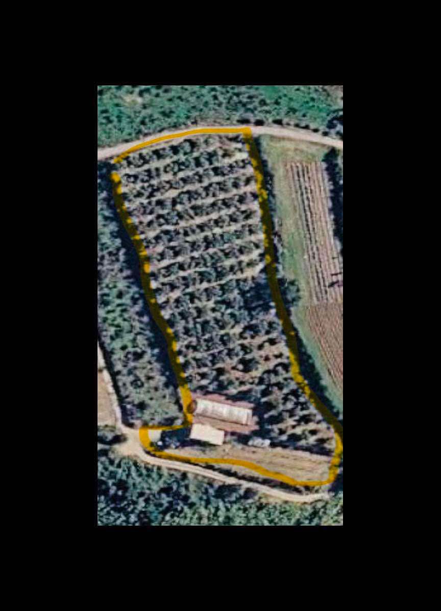 TERRENO RUSTICO CON ALMACEN