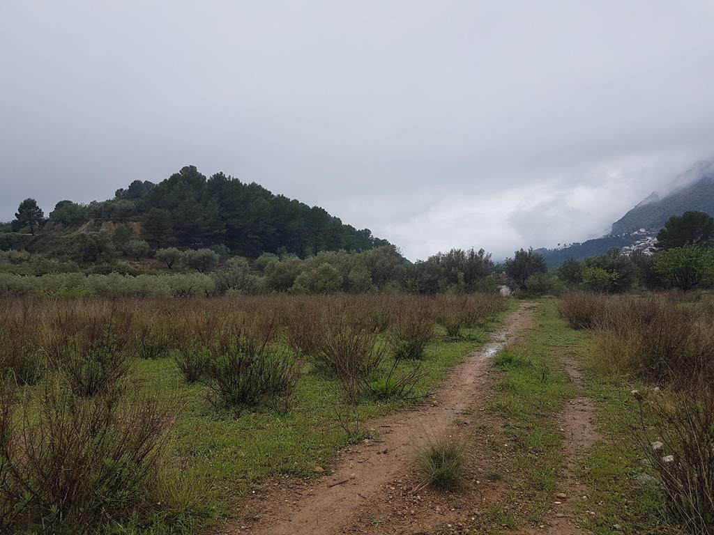 TERRENO RUSTICO CON ALMACEN