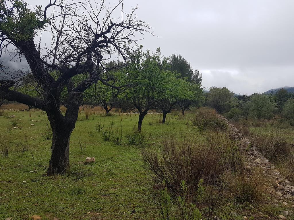 TERRENO RUSTICO CON ALMACEN