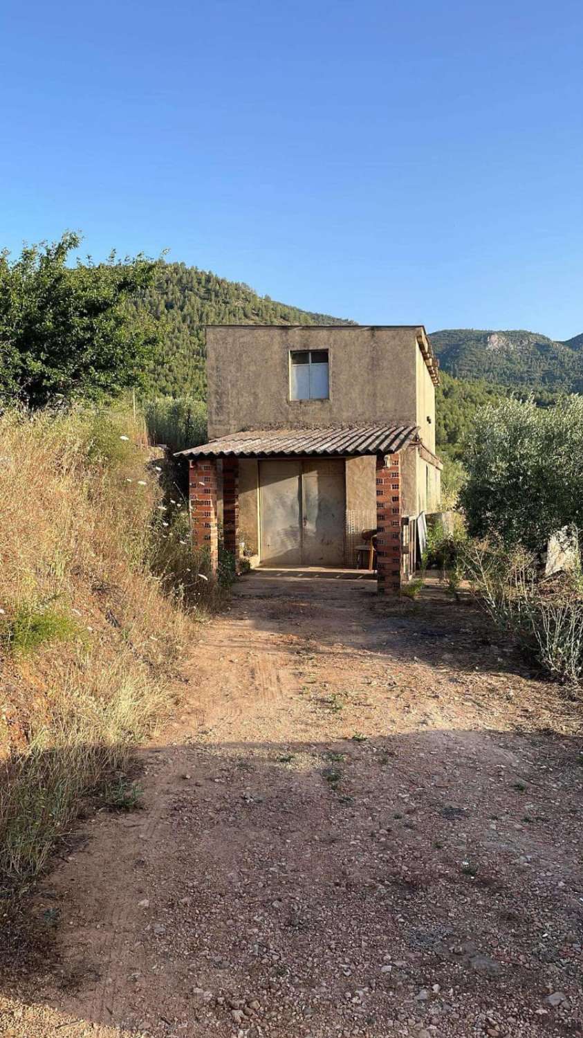 TERRENO RUSTICO CON ALMACEN