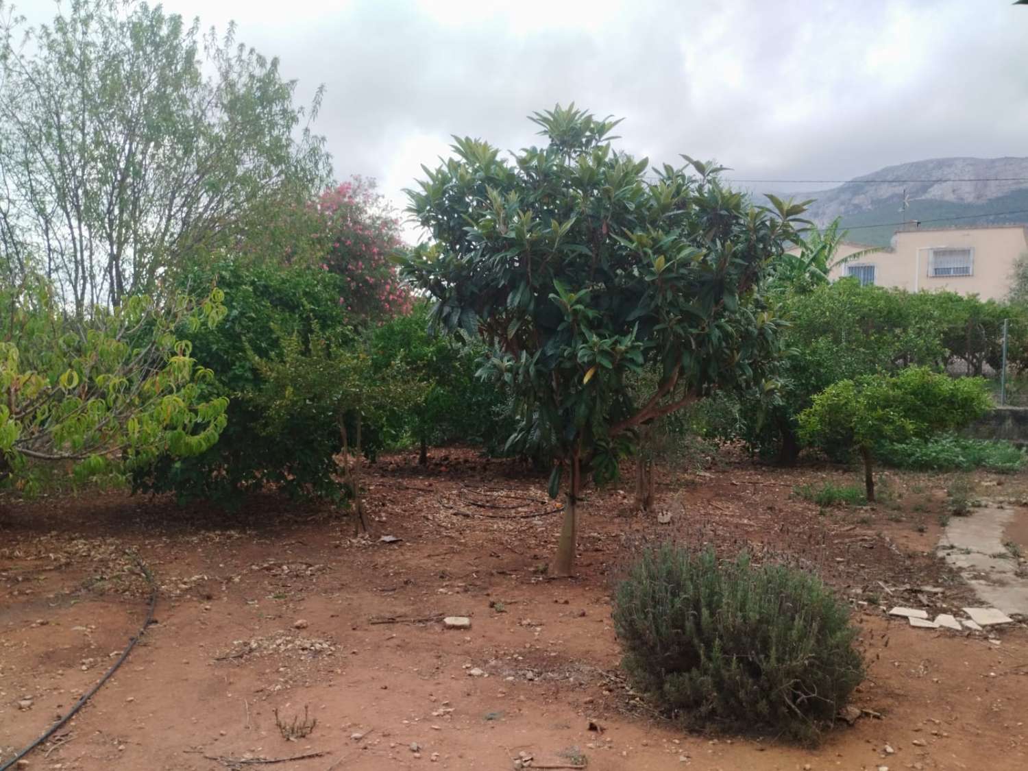 CASA RUSTICA EN DENIA