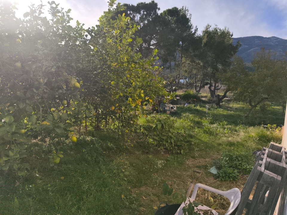 CASA DE CAMPO EN UNA SOLA PLANTA