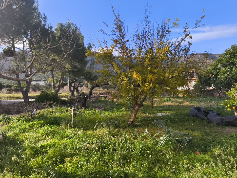 CASA DE CAMPO EN UNA SOLA PLANTA
