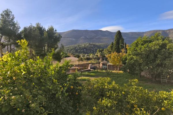 CASA DE CAMPO EN UNA SOLA PLANTA