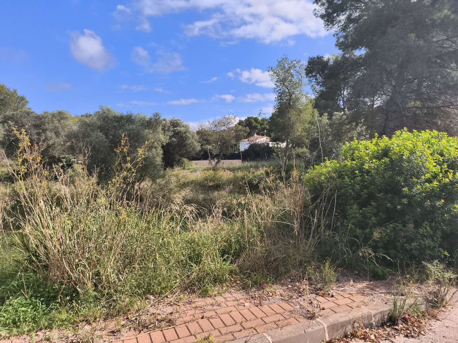 قطعة أرض للبيع في Jávea