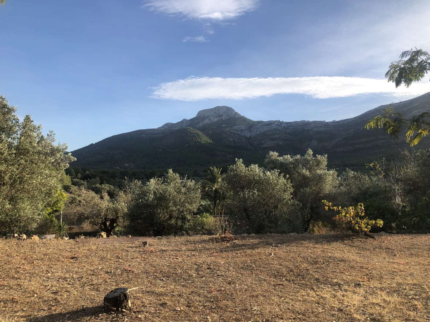 Finca en Parcent con amplias posibilidades