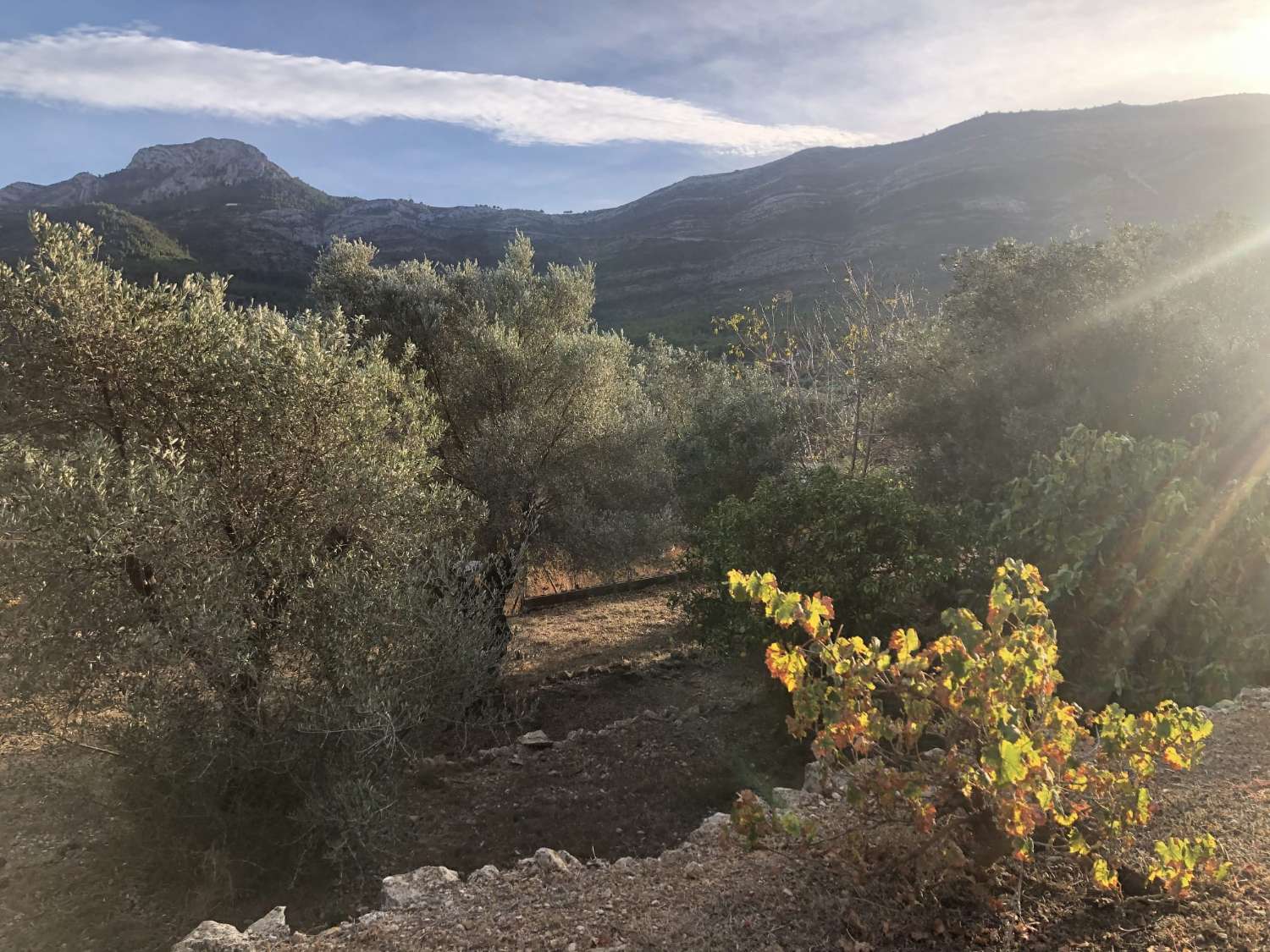 Finca en Parcent con amplias posibilidades