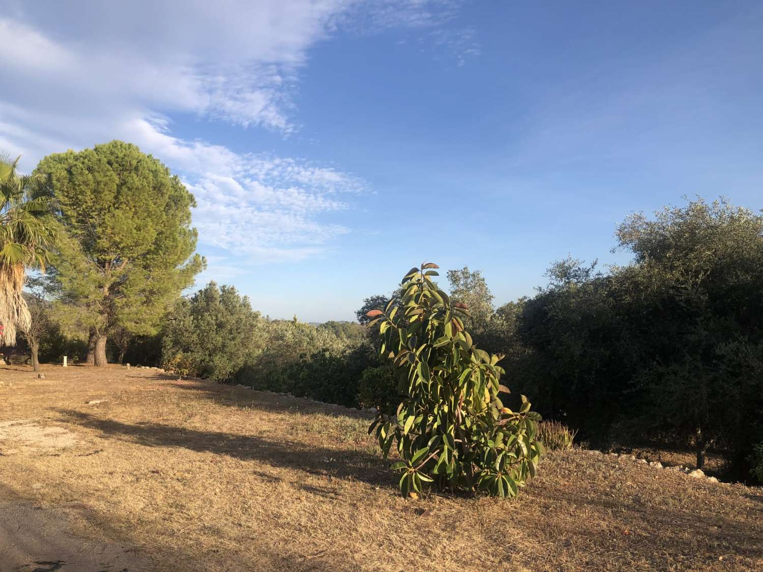 Finca en Parcent con amplias posibilidades