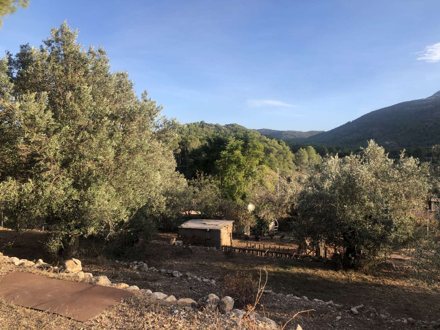 Finca en Parcent con amplias posibilidades