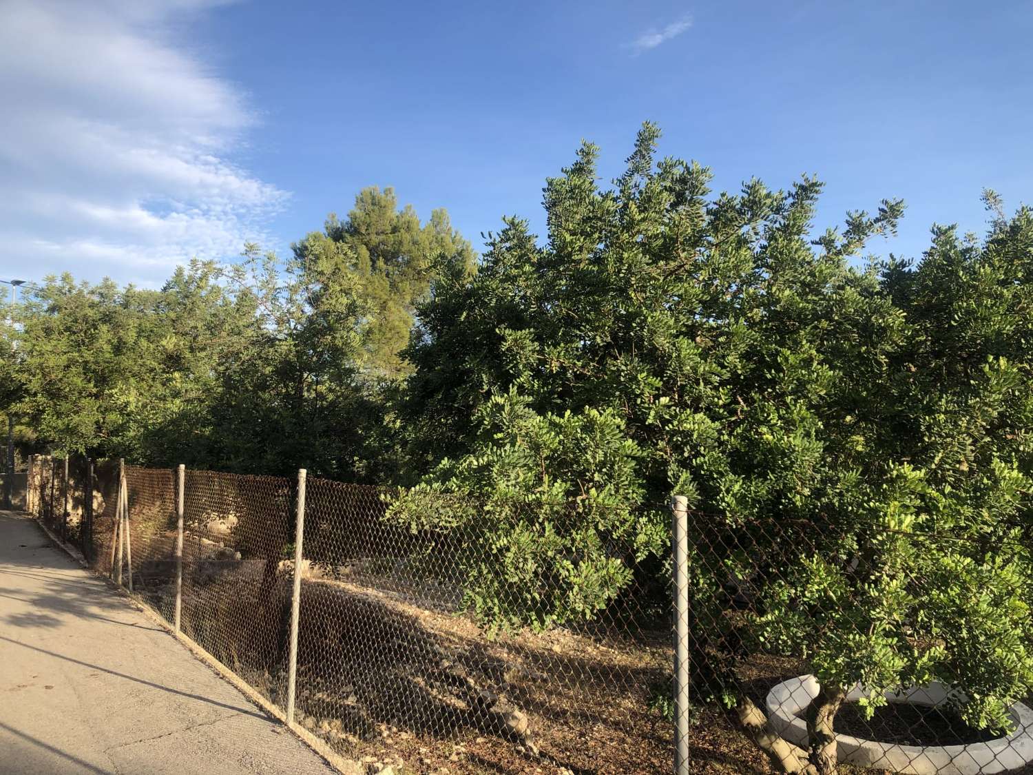 Finca en Parcent con amplias posibilidades