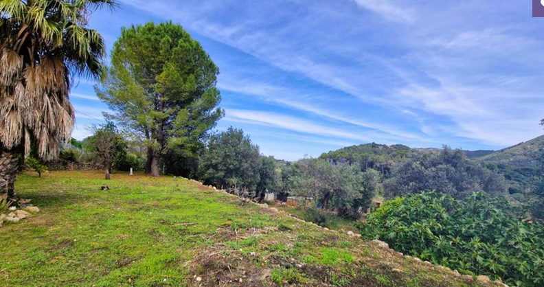 Finca en Parcent con amplias posibilidades