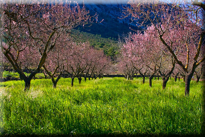 Casa de piedra para restaurar en Marnes (Lliber)