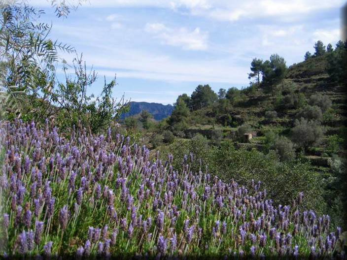 Casa de piedra para restaurar en Marnes (Lliber)