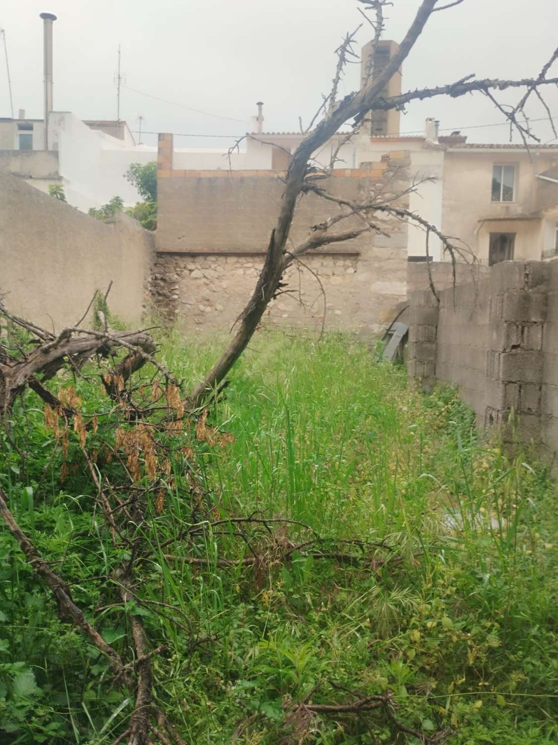 CASA DE PUEBLO A REFORMAR CON GRAN JARDIN