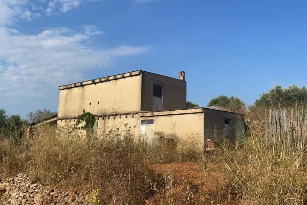TERRENO RUSTICO CON ALMACEN